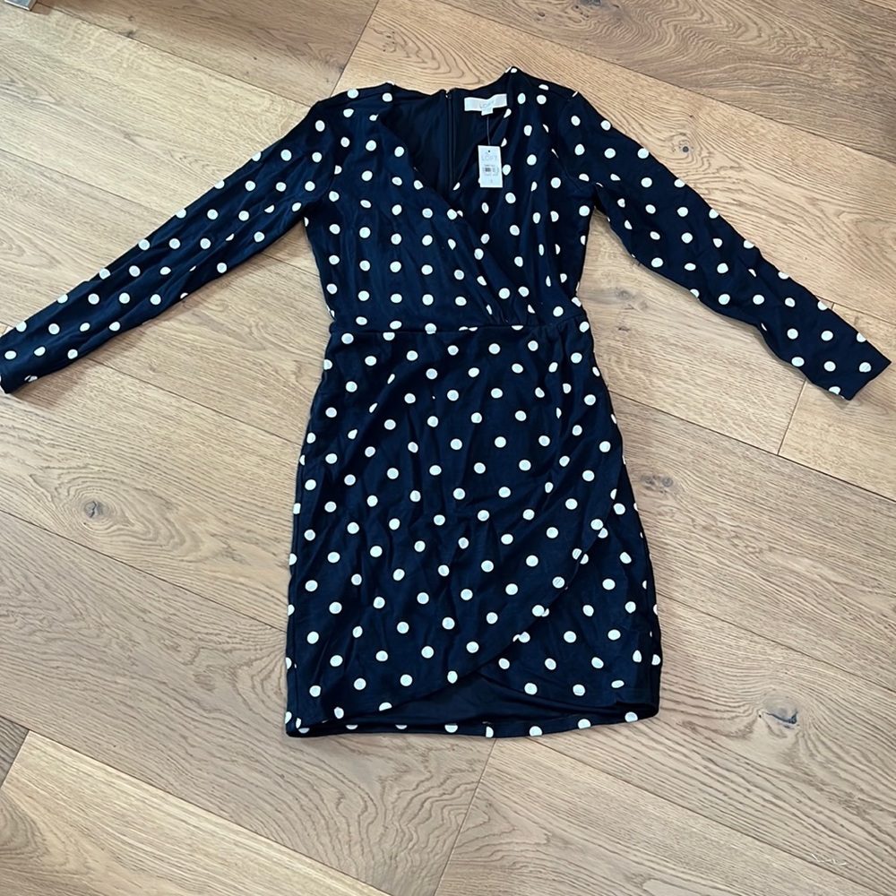 LOFT Polka Dot Dress